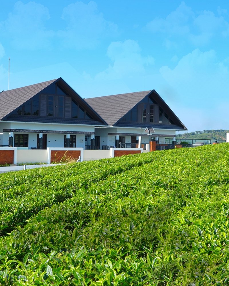 mountain view resort vagamon